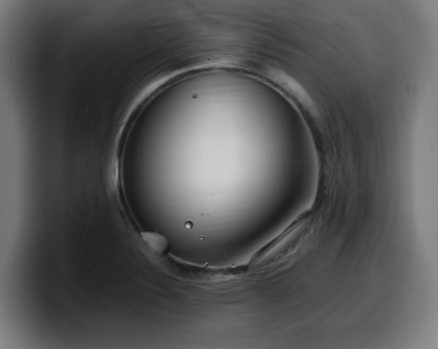 X0000099941324200805301210