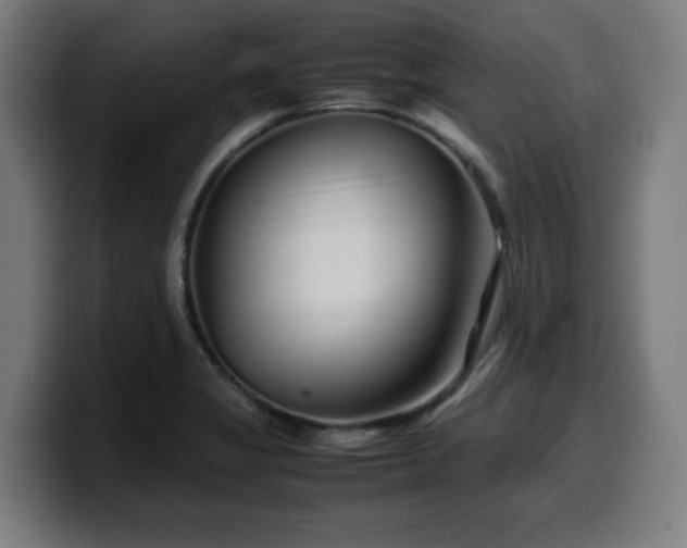X0000099941325200805301210