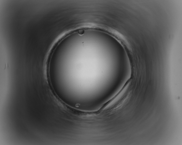 X0000099941326200805301210