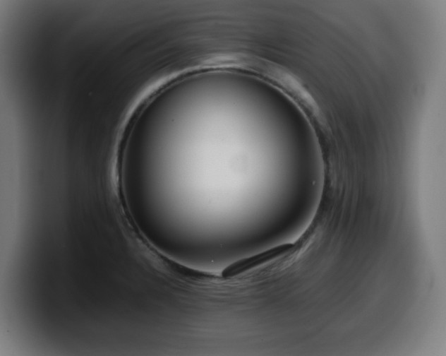 X0000099941328200805301210