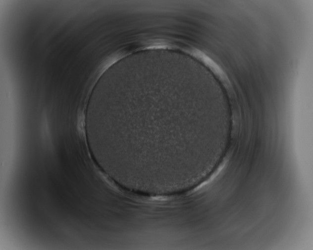 X0000099941329200805301210