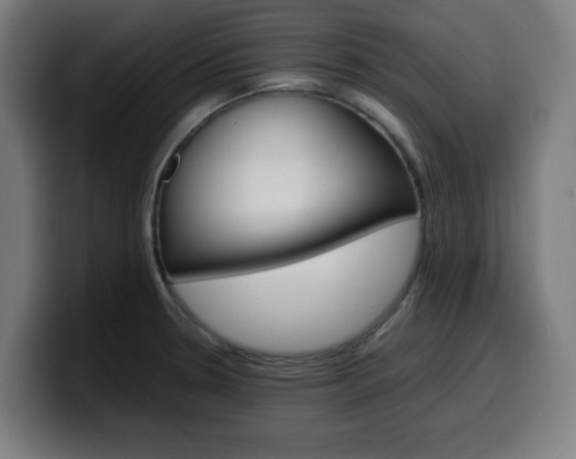 X0000099941330200805301210