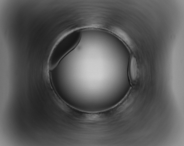 X0000099941332200805301210