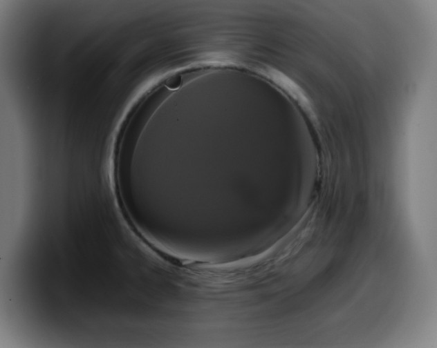 X0000099941334200805301210