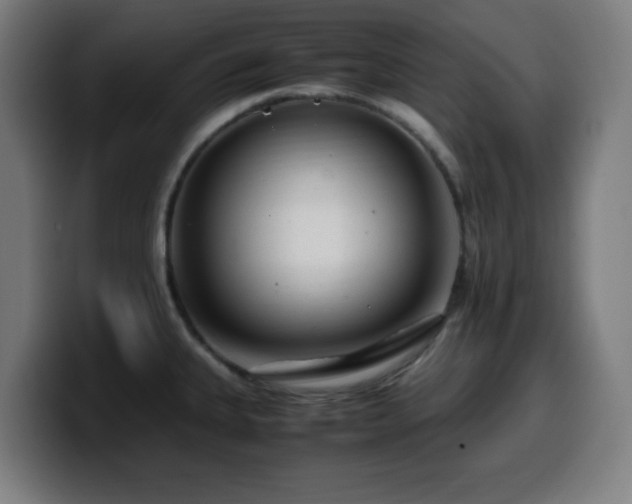 X0000099941335200805301210