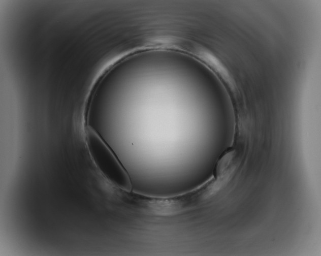 X0000099941336200805301210