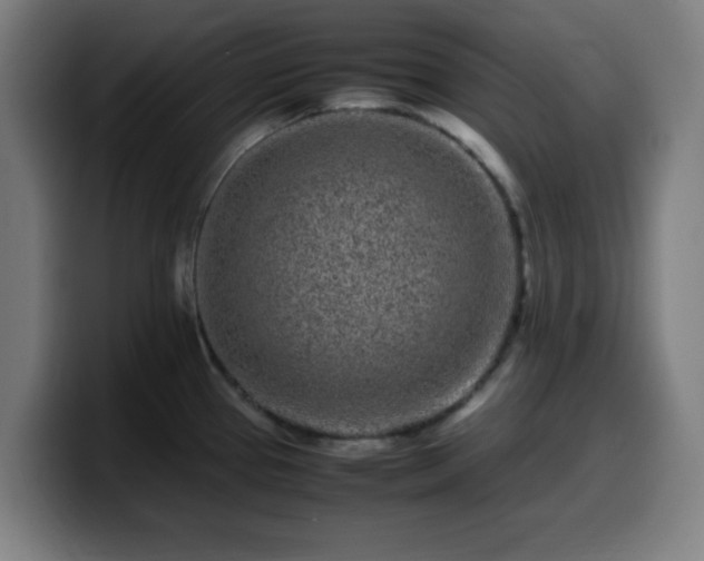 X0000099941337200805301210