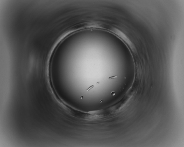 X0000099941339200805301210