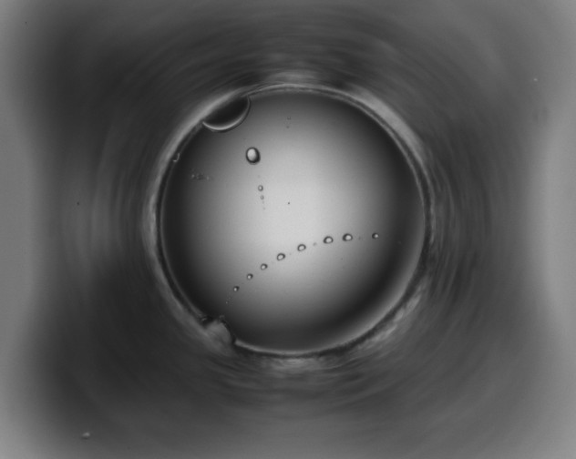 X0000099941341200805301210