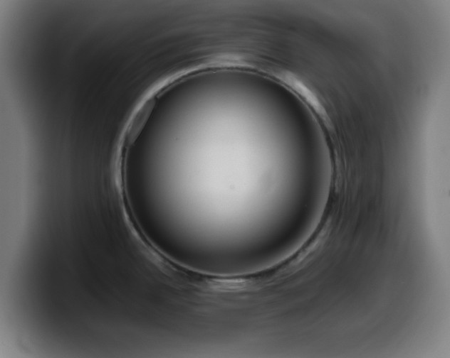 X0000099941342200805301210
