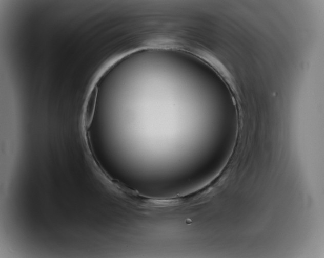 X0000099941344200805301210