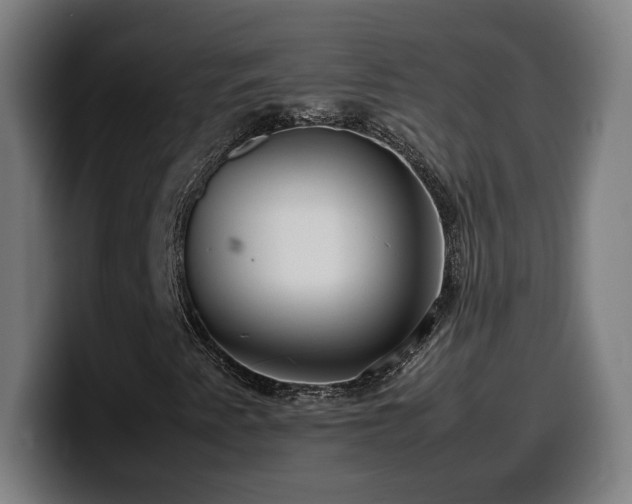 X0000099941345200805301209