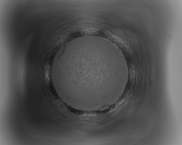 X0000099941346200805301209