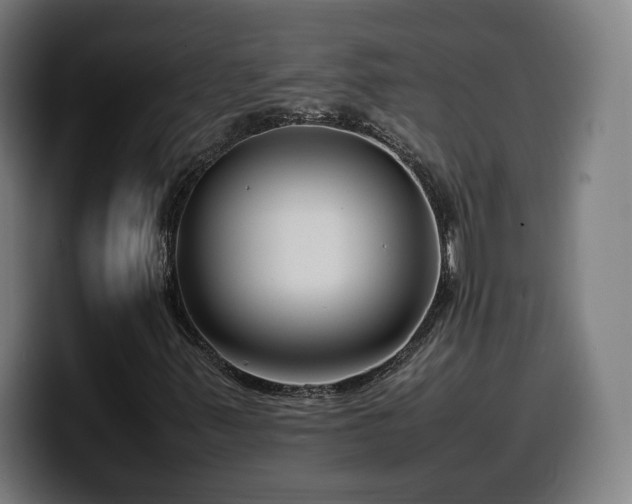 X0000099941347200805301209