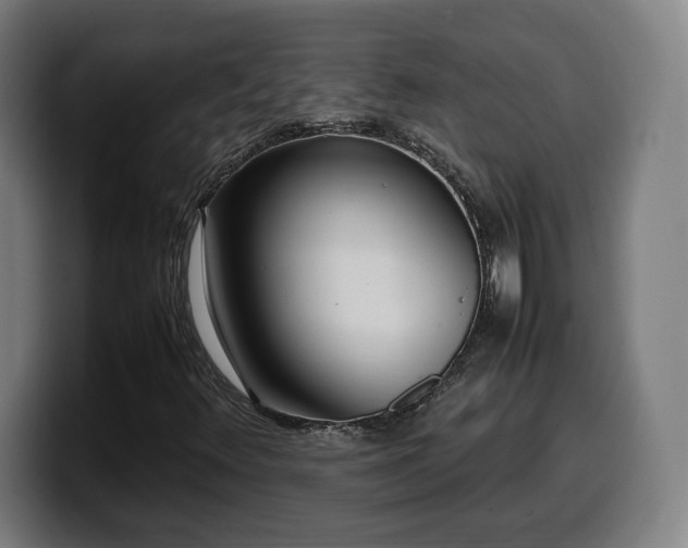X0000099941348200805301209