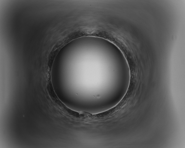 X0000099941349200805301209