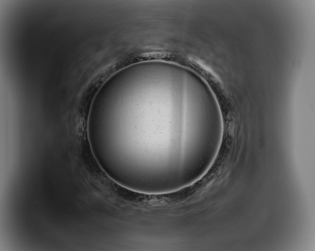 X0000099941351200805301209