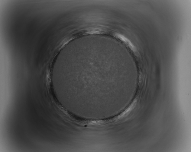 X0000099941353200805301209