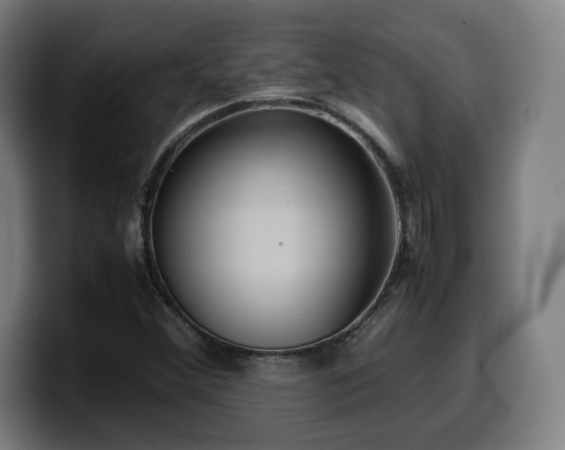 X0000099941356200805301209