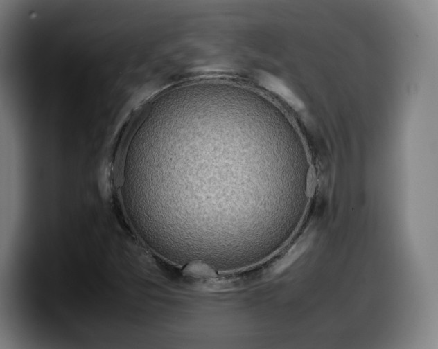 X0000099941357200805301209