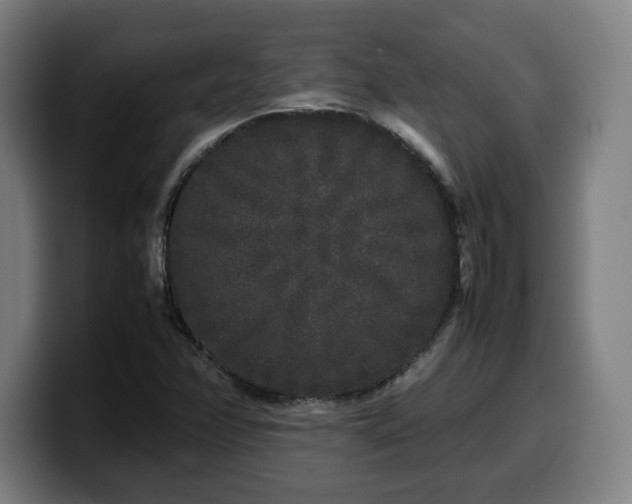 X0000099941358200805301209