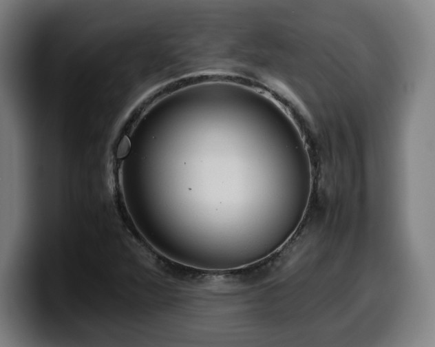 X0000099941360200805301209
