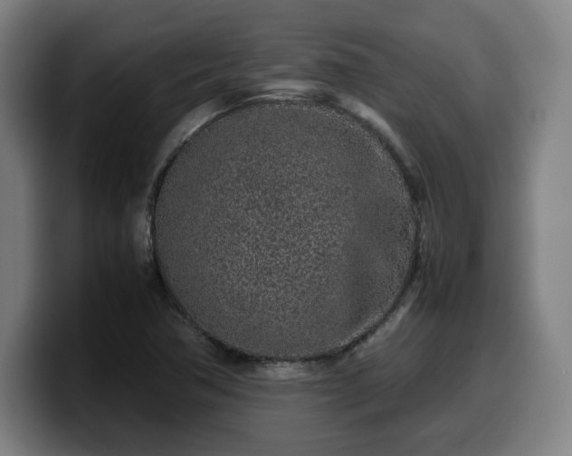 X0000099941362200805301209