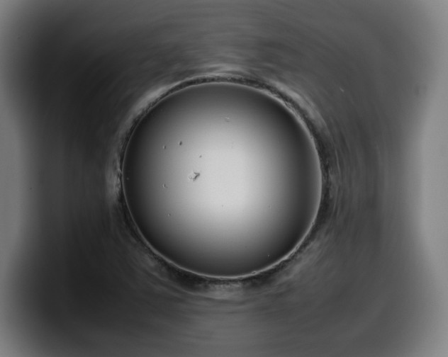 X0000099941363200805301209