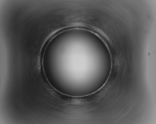 X0000099941364200805301209
