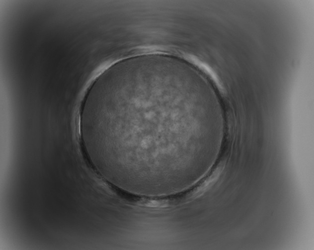 X0000099941365200805301209