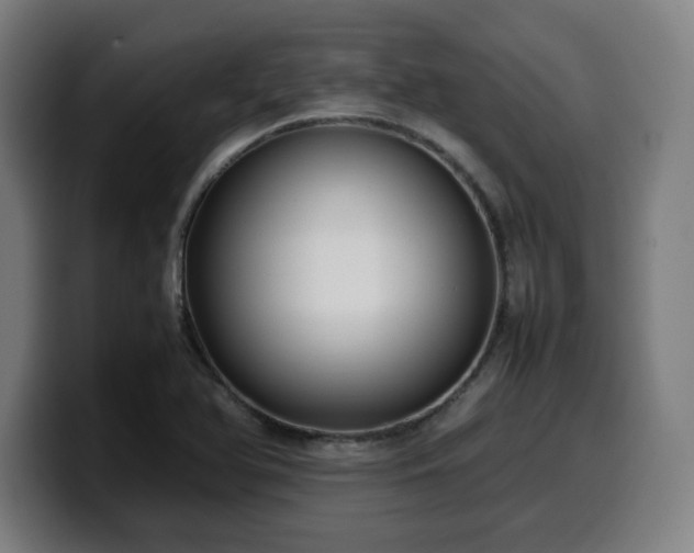 X0000099941366200805301209