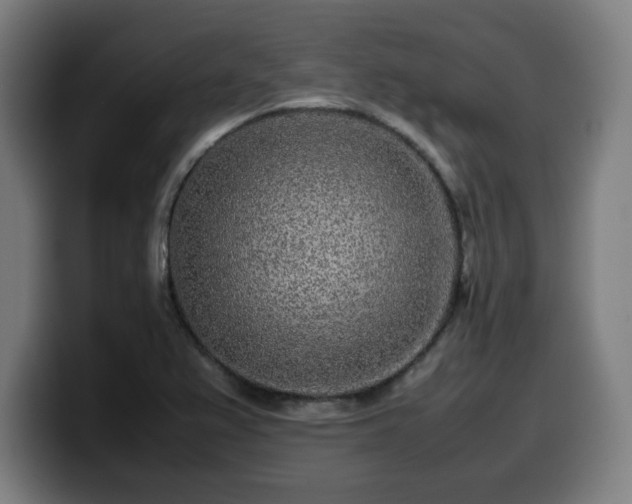 X0000099941367200805301209