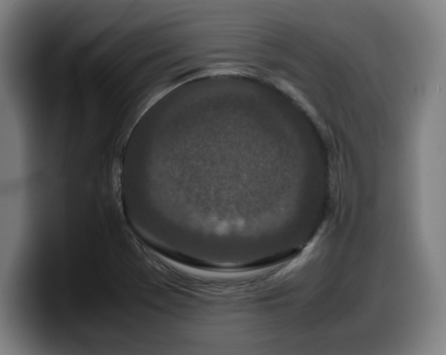 X0000099941369200805301209