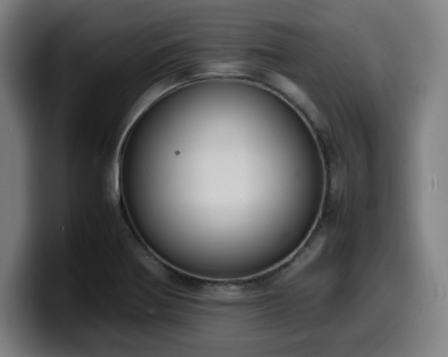 X0000099941370200805301209