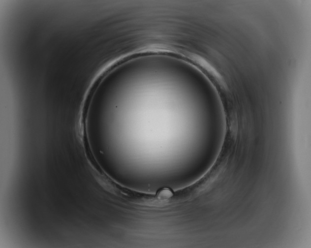 X0000099941372200805301209