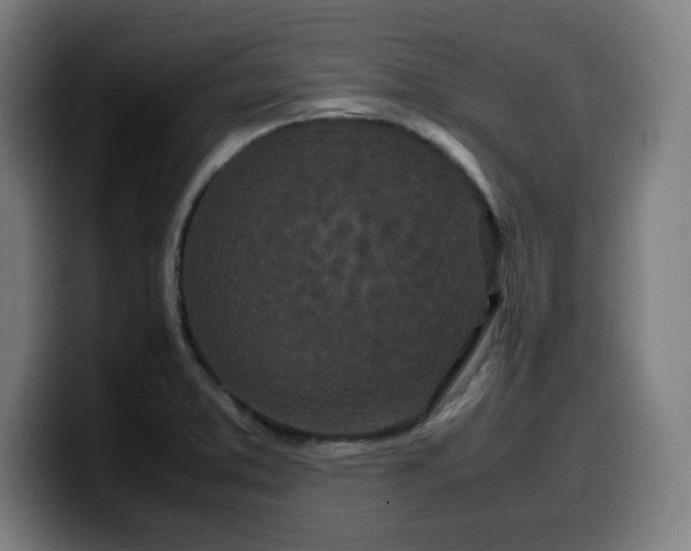 X0000099941373200805301209