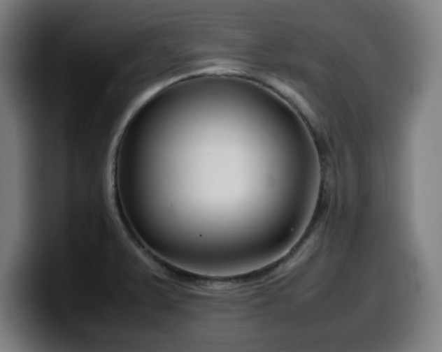 X0000099941375200805301209