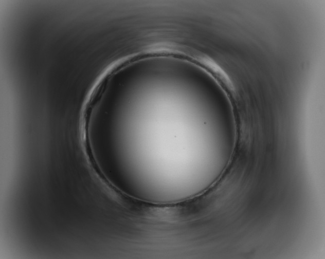 X0000099941376200805301209