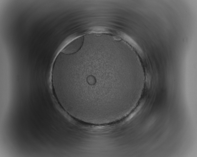 X0000099941378200805301209