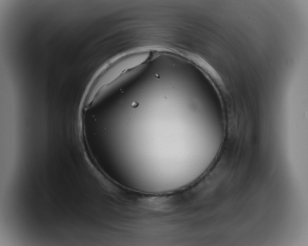 X0000099941380200805301209