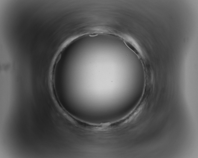 X0000099941381200805301209