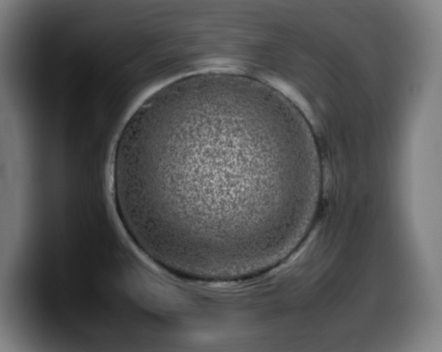 X0000099941383200805301209