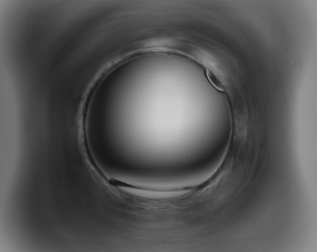 X0000099941384200805301209