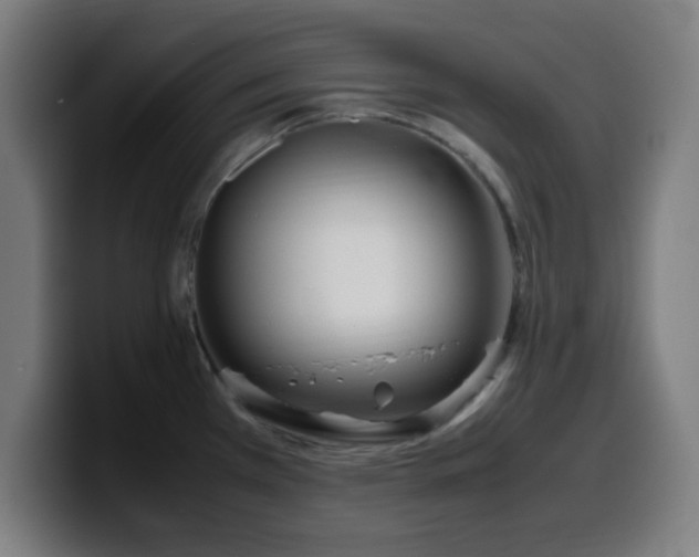 X0000099941385200805301209