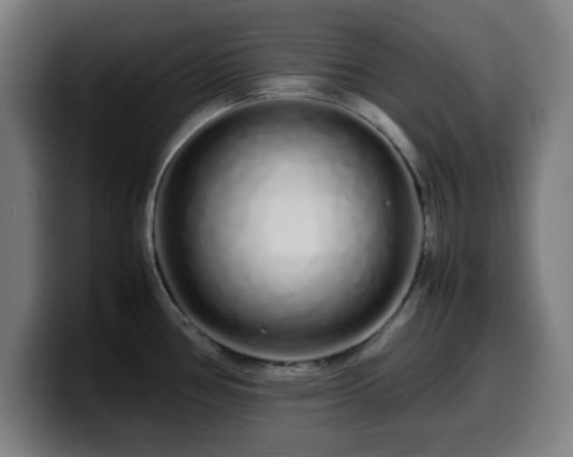 X0000099941386200805301209