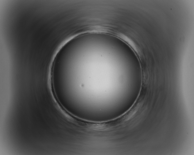 X0000099941387200805301209