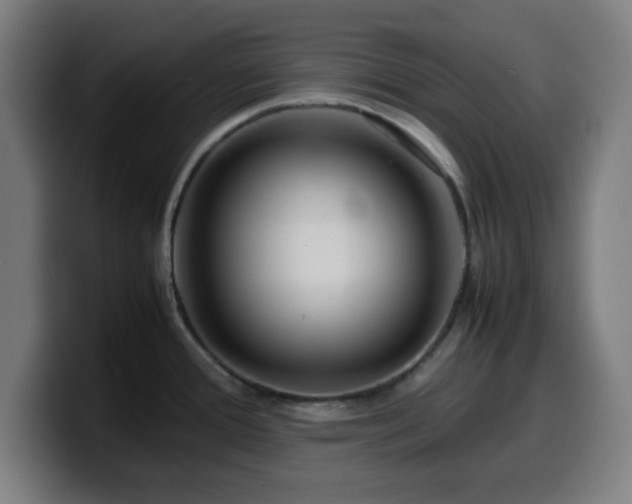 X0000099941388200805301209