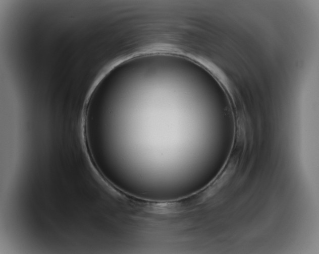 X0000099941390200805301209