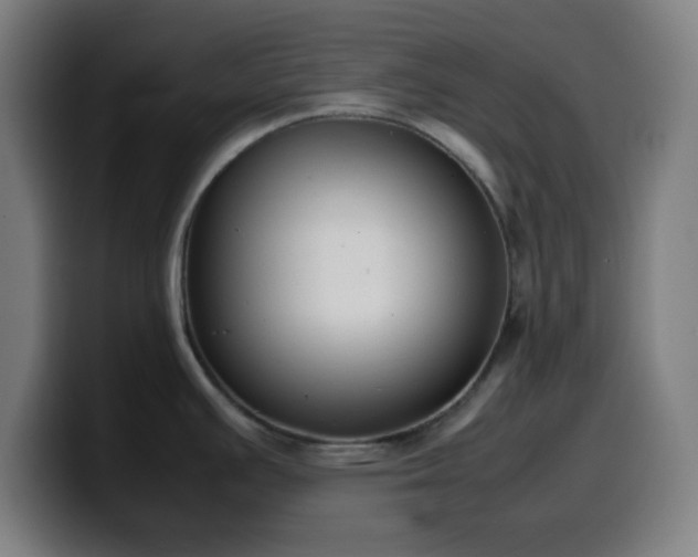 X0000099941391200805301209