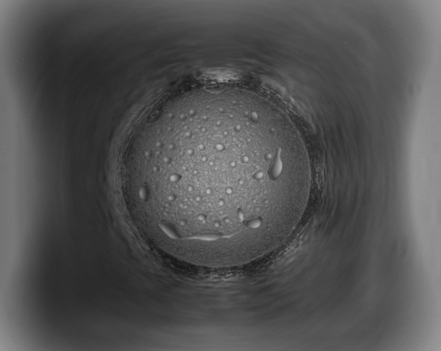 X0000099941393200805301208